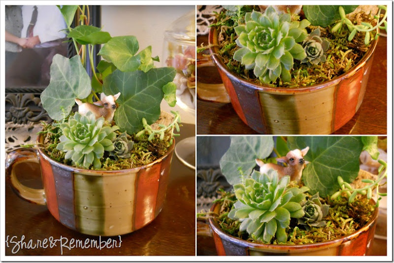 mini planter