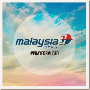 mh370