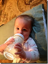 IMG_0454 IMG_0454