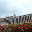 P1050628.jpg