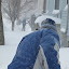 shovelin