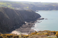 IMG_6033.JPG Photo