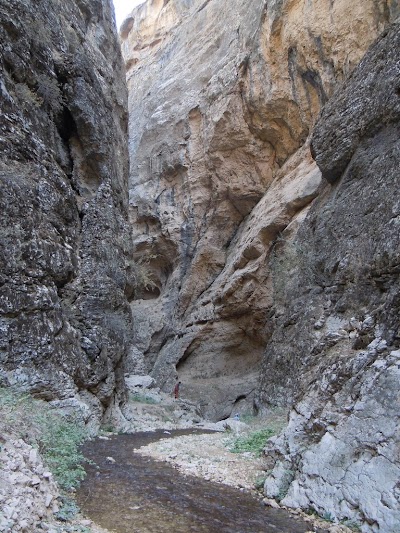 DSCN3989.jpg