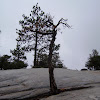 PICT0032.JPG
