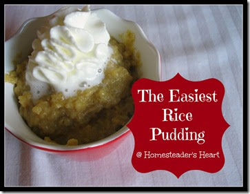 Crockpot Rice Pudding 2