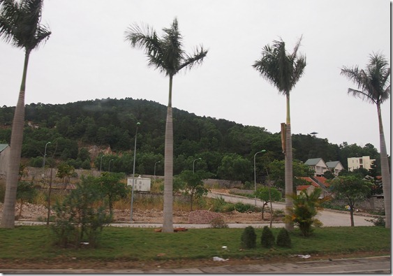 P1043278