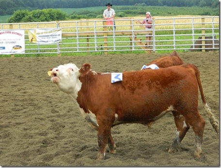 Team Penning 2011 145