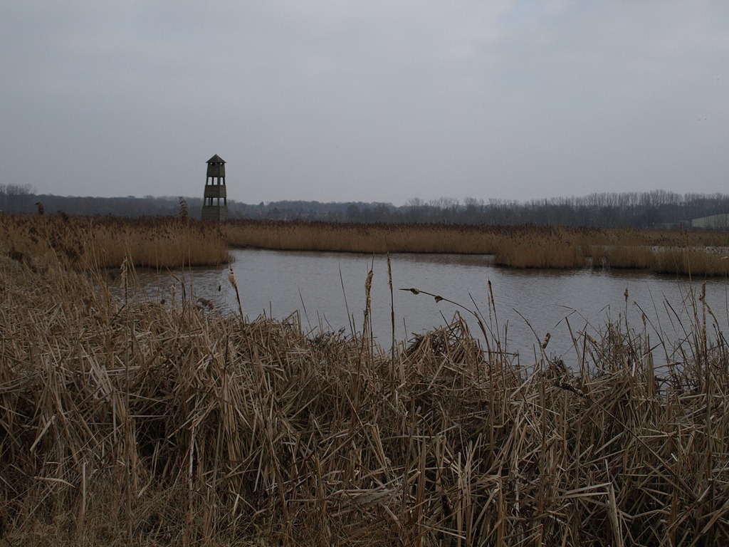 [P3030860%255B3%255D.jpg]