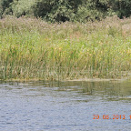 DSCN8217.JPG