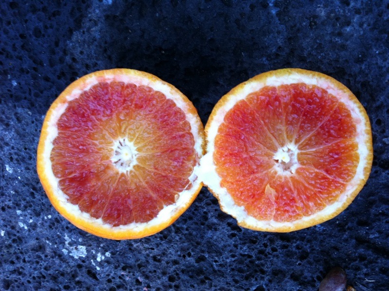 [Photo%252029-11-11%252007%252031%252053%255B2%255D.jpg]