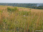 Landschaft Okoyo