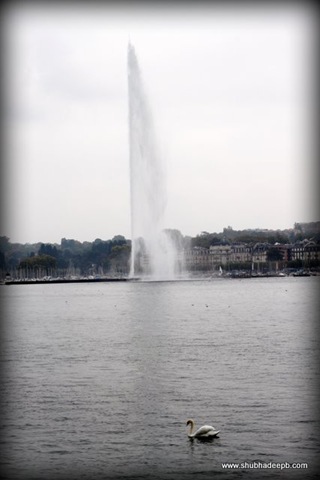 [IMG_70501.jpg]