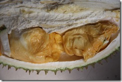 Durian Penang 014