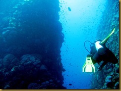 Komodo Diving (7)