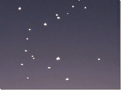 ovnis californoa ovnis californoa