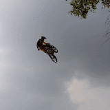 IMG_0697-MOTION.gif