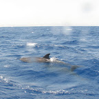 IMG_1270.JPG
