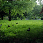 img088.jpg