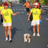 Pet Express Doggie Run 2012 Philippines. Jpg (222).JPG