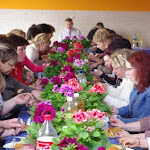 IMGP7455.jpg