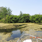 DSCN8388.JPG