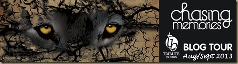 banner banner