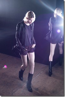 theyskenstheoryprefw20127