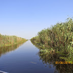 IMG_5703.JPG