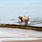 20100826_019_small.JPG