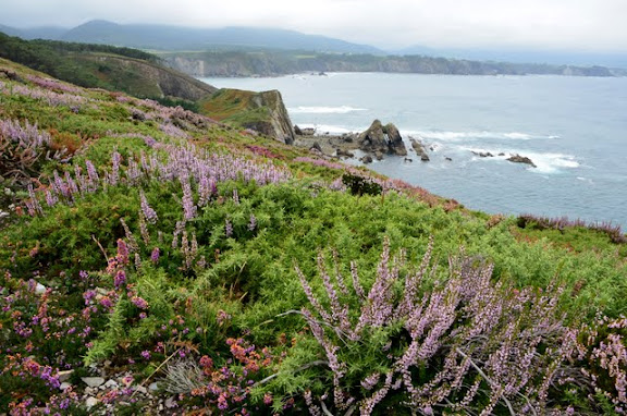 Cantabria