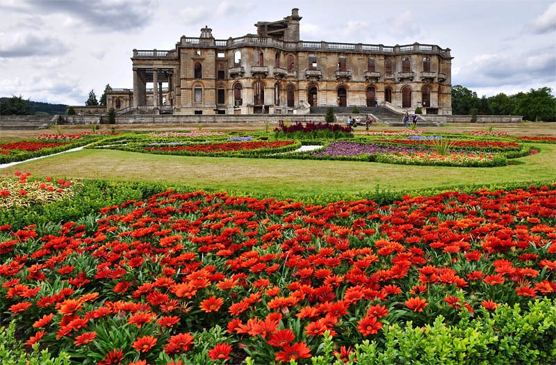 [Red%2520flowers%255B3%255D.jpg]