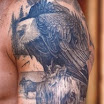 Eagle #6