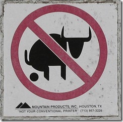 10 10