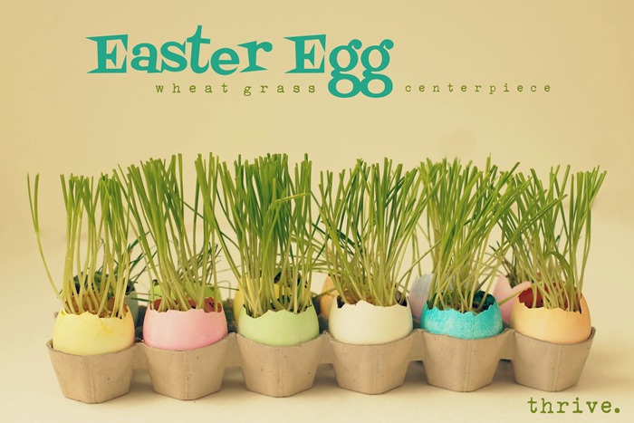 Easter Egg Wheat Grass Centerpiece from THRIVE