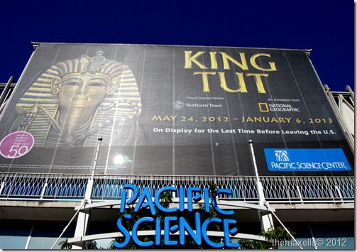 DSC_0100 DSC_0100