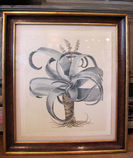 TRW Botanical Print $890.00