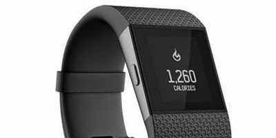 fitbit - mobilespoon