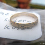 Bifrost detektortræf 2011 Allan Faurskov-24.JPG