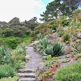 Botanical gardens Wellington