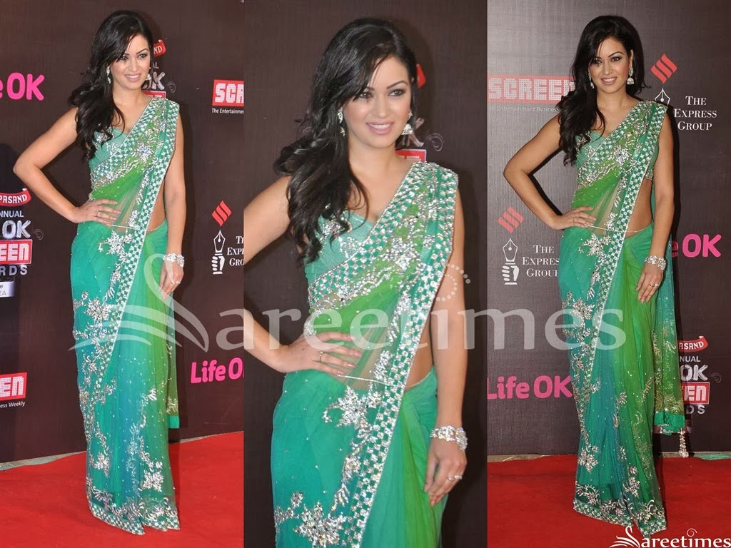 [Green_Embroidery_Net_Saree%255B4%255D.jpg]