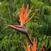 IMG_9685N2.JPG