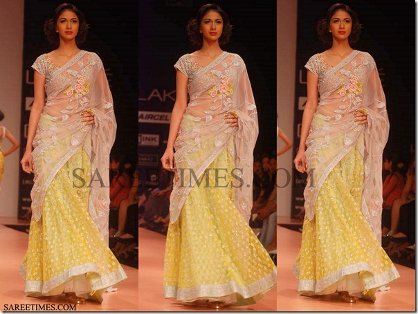 Bhairava_Jaikishan_Shimmer_Faux_Sari
