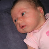 Amelia Rose