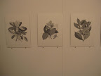 Dibujo con malla de alambre de la artista colombiana Johanna Calle y dibujo árbol misma artista, U-TURN
