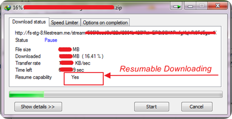 IDM resumable downloading