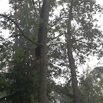 2012-08-06 19.55.10.jpg