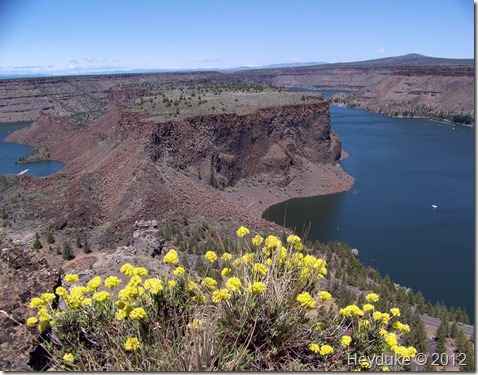 The Island at Lake Billy Chinook