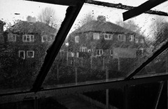 The Greenhouse - Film