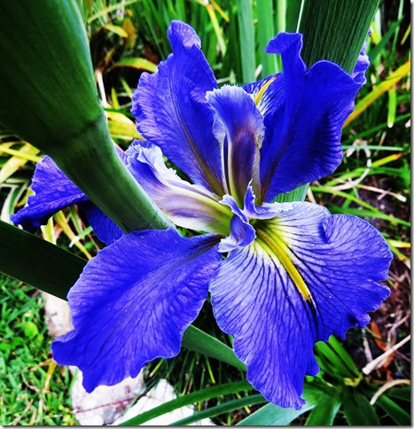 IMG_0083 IMG_0083