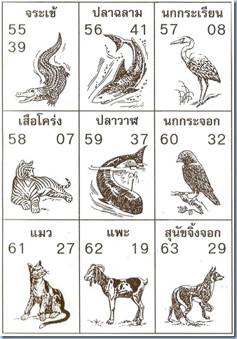 สัตว์ 55-63